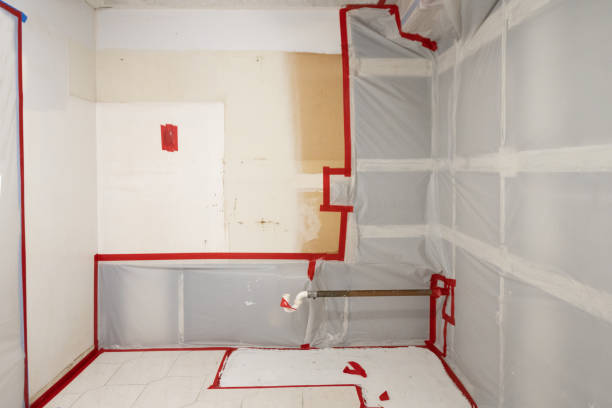 Best Environmental Consulting for Mold Prevention  in South Park, WY