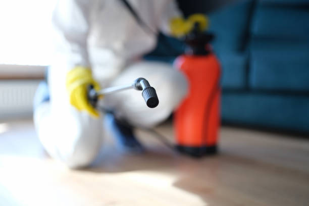Best Air Quality Testing for Mold Spores  in South Park, WY